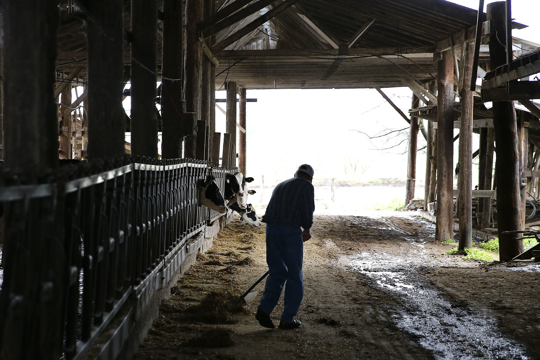 20200614_DISCO_DAIRY_MOYER_07